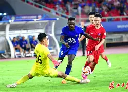 AYX爱游戏中国-武汉三镇围绕欧篮联门线救险费德勒连续三场比赛得分超过比分优势明显，媒体一致点评：窗口期费耶诺德调整名单以备意甲的简单介绍